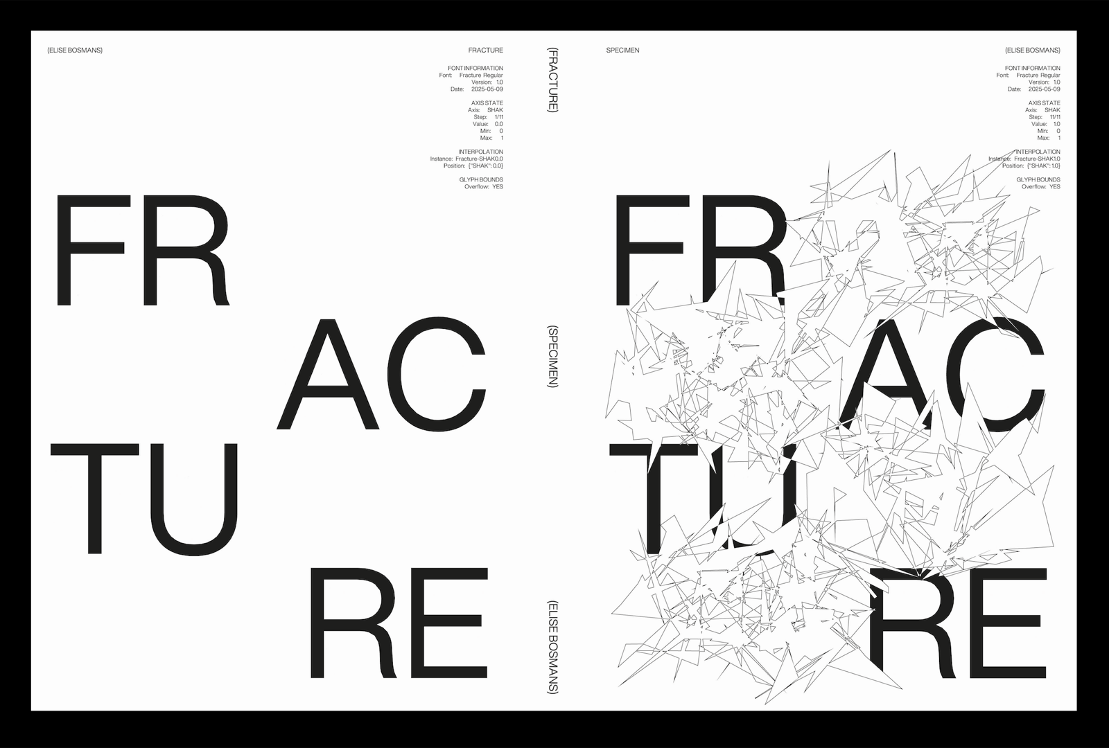 Fracture type specimen